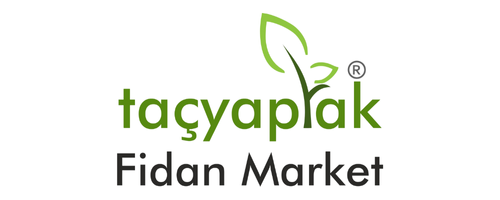 TAÇYAPRAK FİDAN MARKET